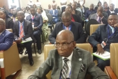 Congrès Kolwezi: participants