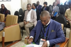 Congrès Kolwezi: participants