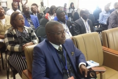 Congrès Kolwezi: participants